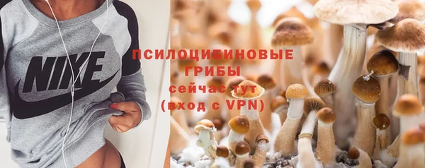 spice Арсеньев